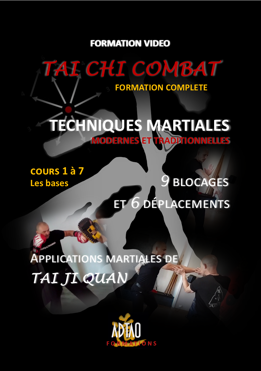 Coffret Formation Vidéo Tai Chi Combat